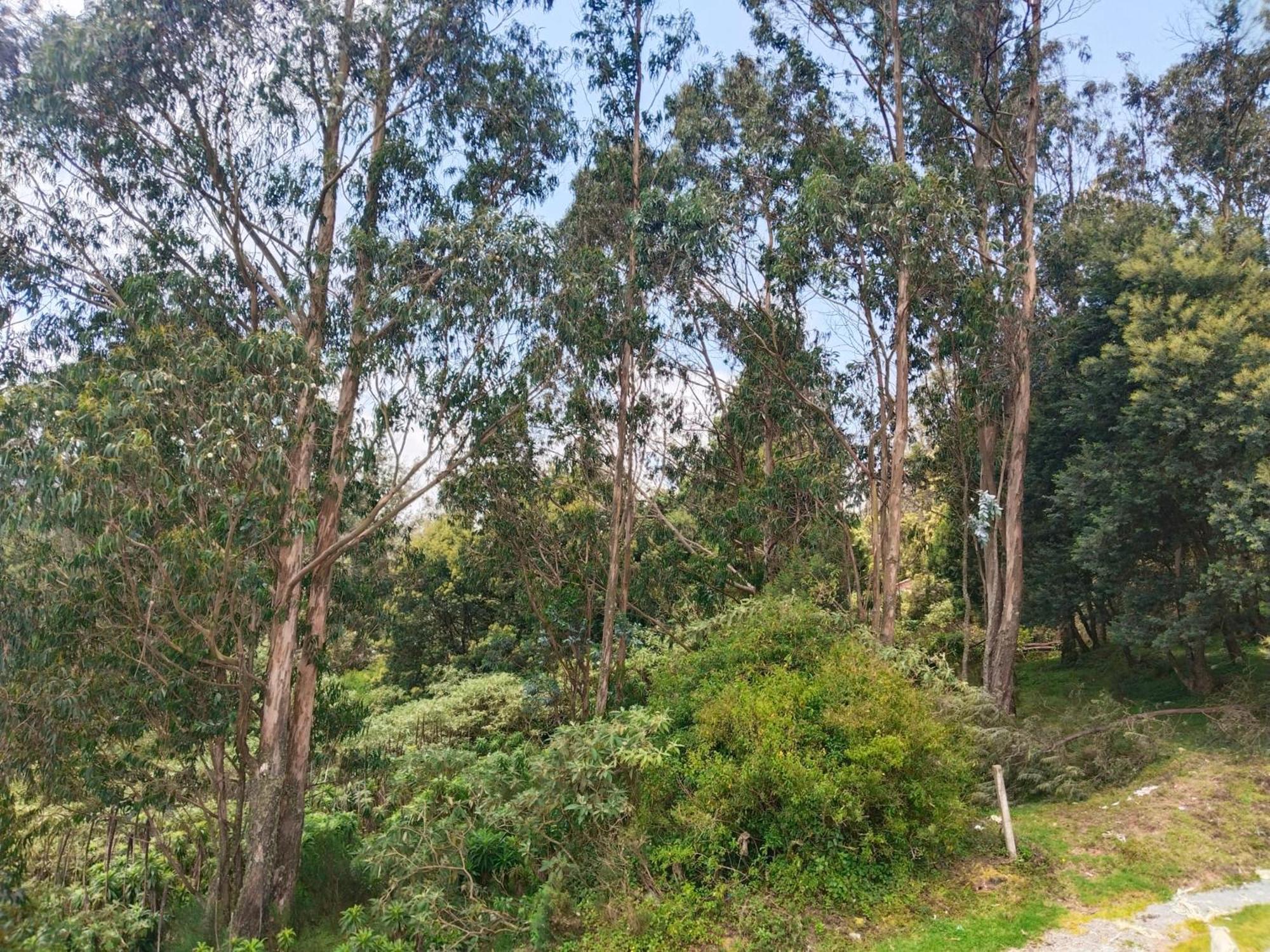 Bs Dreamz Ooty Apartamento Exterior foto
